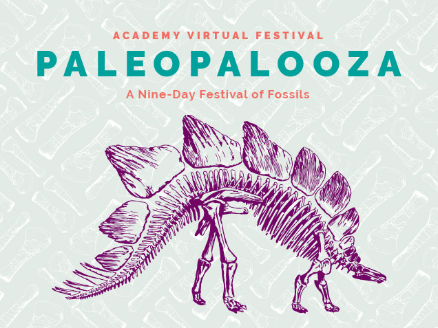 paleopalooza graphic with stegosaur